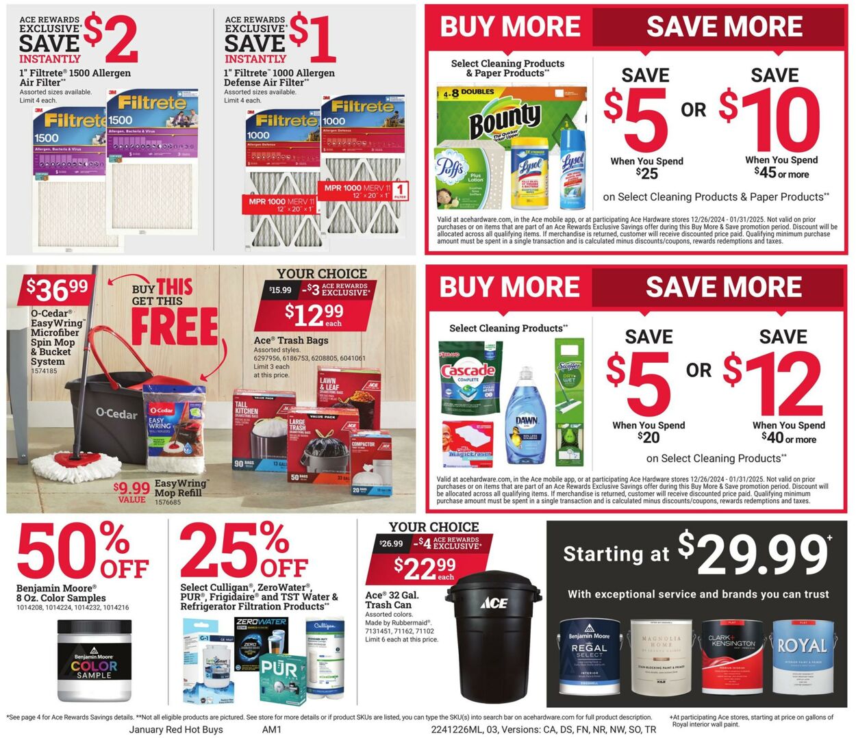 Weekly ad Ace Hardware 12/26/2024 - 01/31/2025