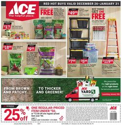 Weekly ad Ace Hardware 07/31/2024 - 08/28/2024