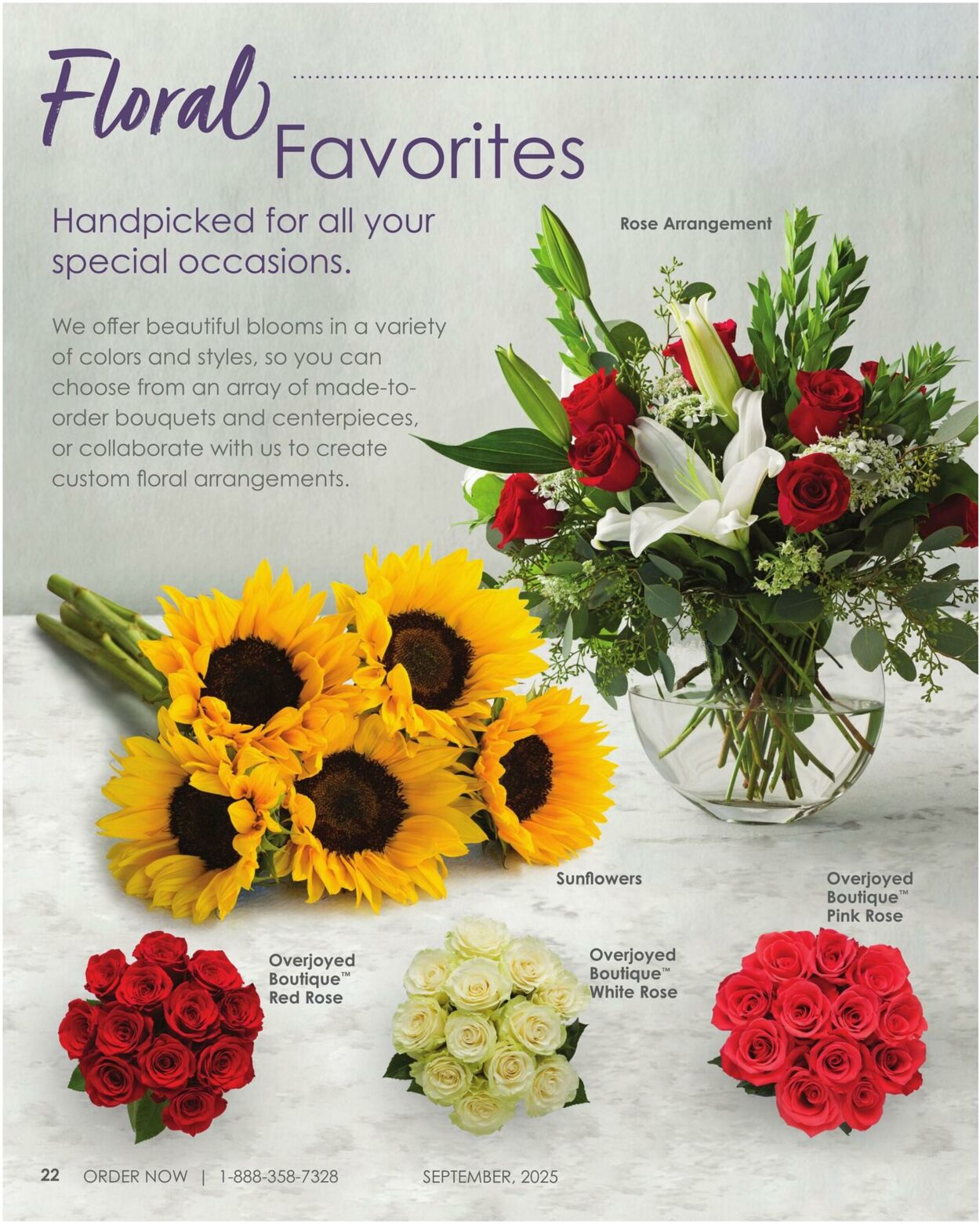 Weekly ad Albertsons 11/19/2025 - 12/31/2026
