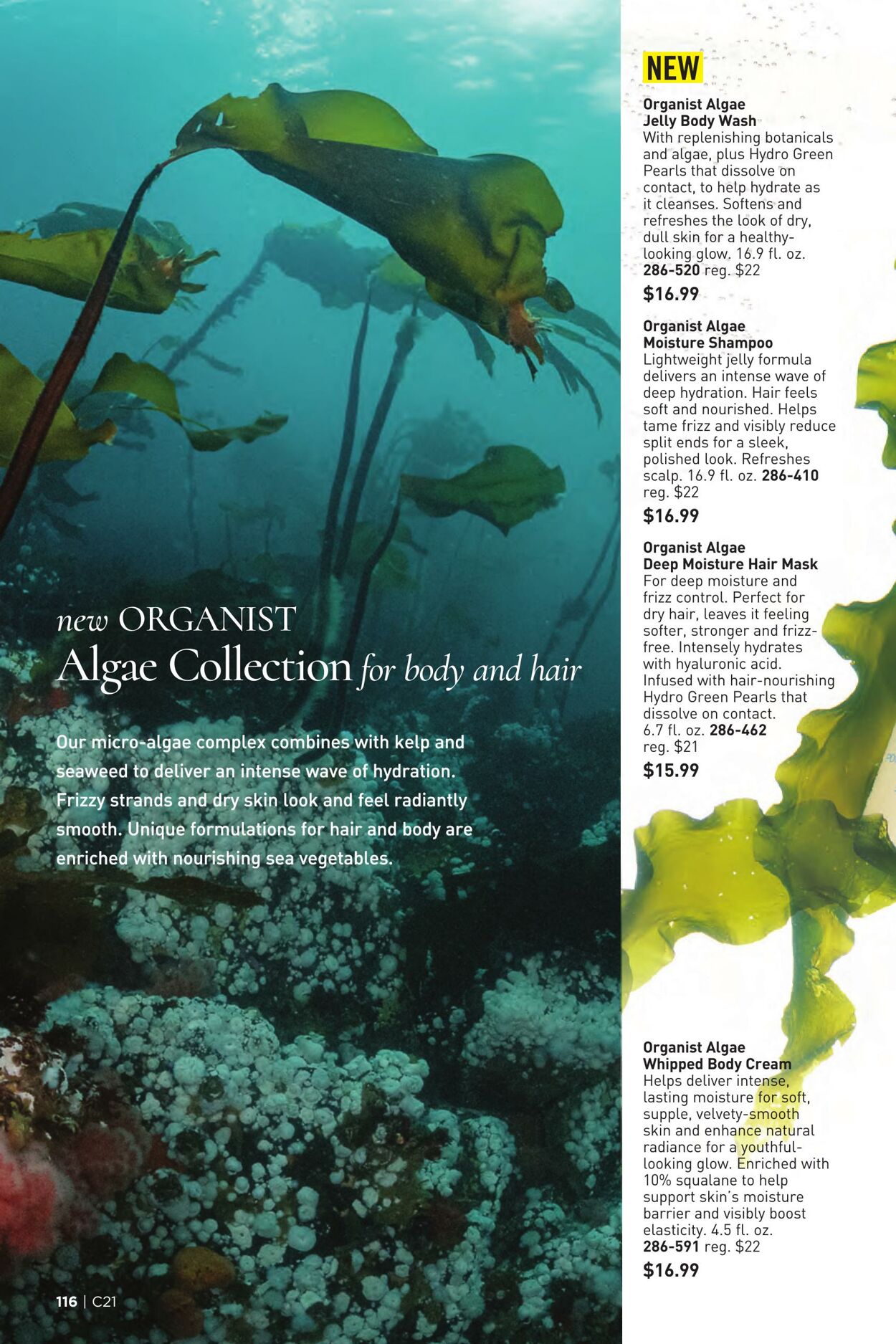 Weekly ad Avon 10/01/2025 - 10/31/2025