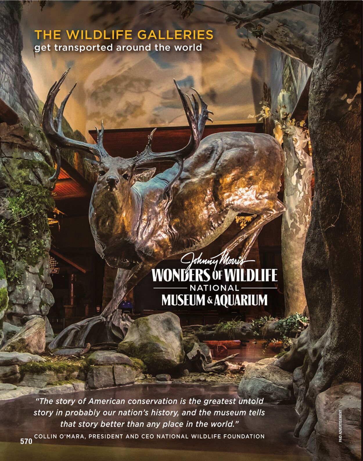 Weekly ad Cabela's 01/01/2023 - 12/31/2023