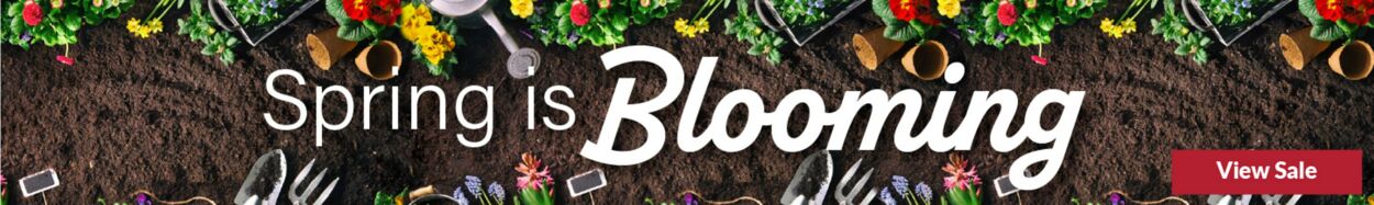 Weekly ad Big Y 03/19/2026 - 03/25/2026