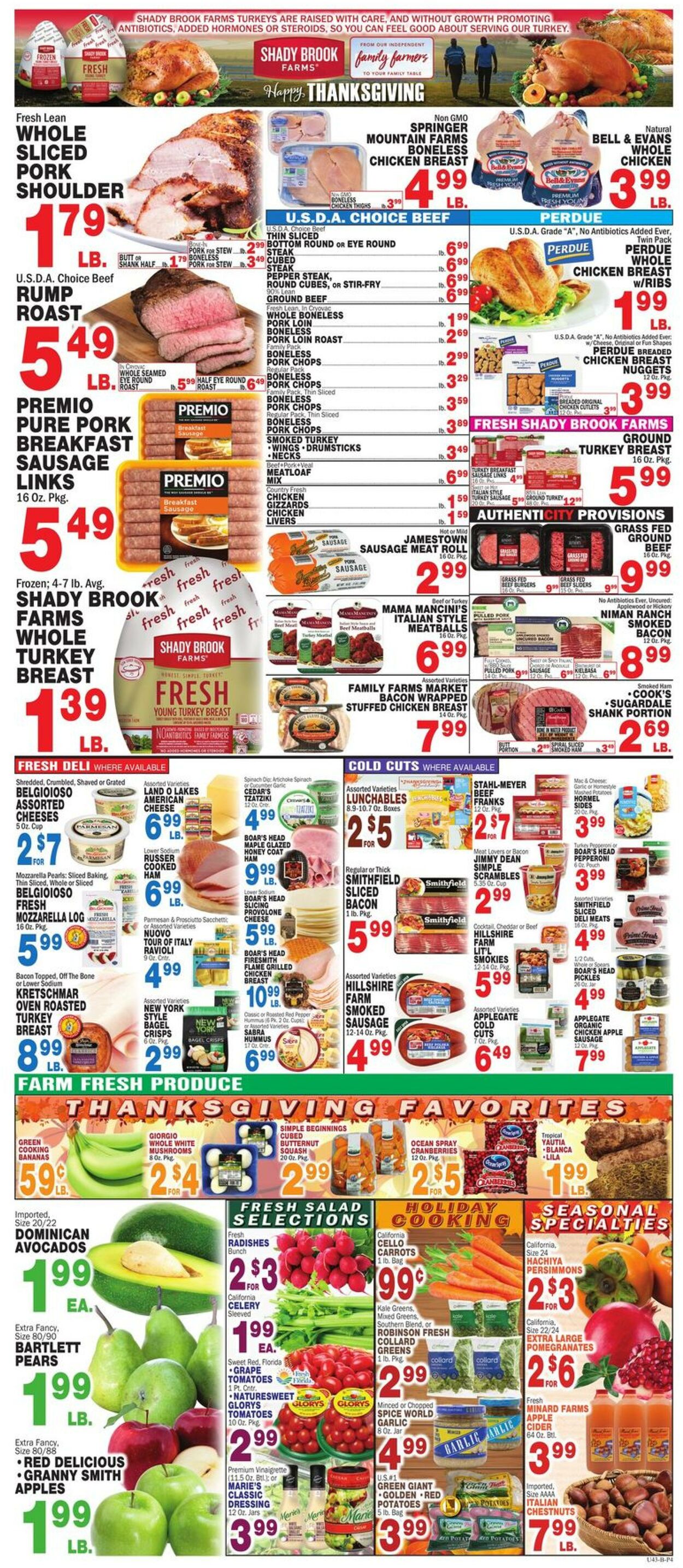 Weekly ad Bravo Supermarkets 11/15/2024 - 11/21/2024