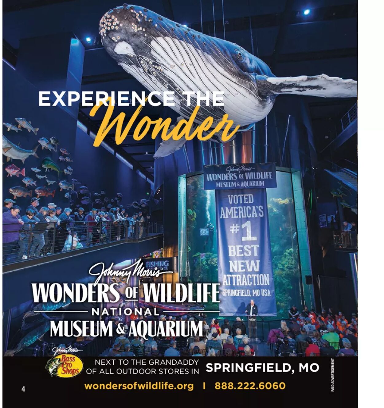Weekly ad Cabela's 04/01/2022 - 12/31/2022