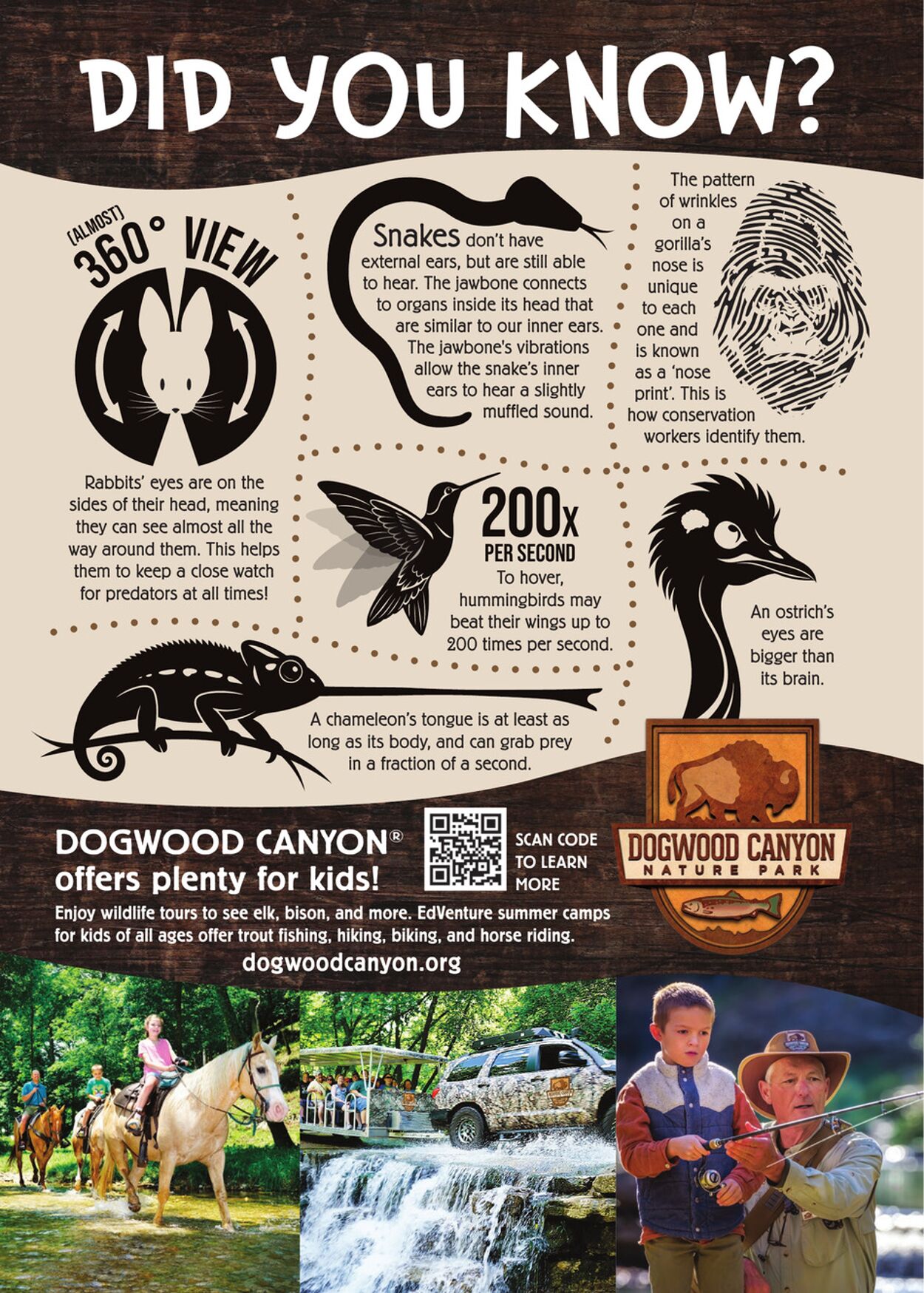 Weekly ad Cabela's 10/16/2025 - 10/30/2025
