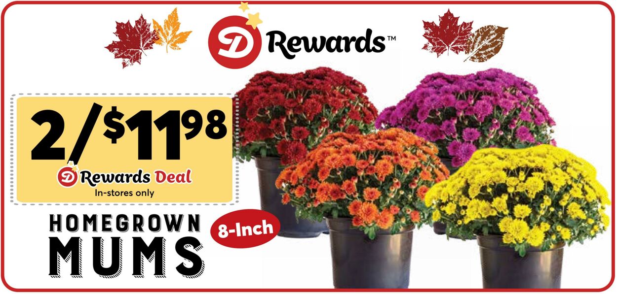 Weekly ad Dierbergs 10/01/2024 - 10/07/2024