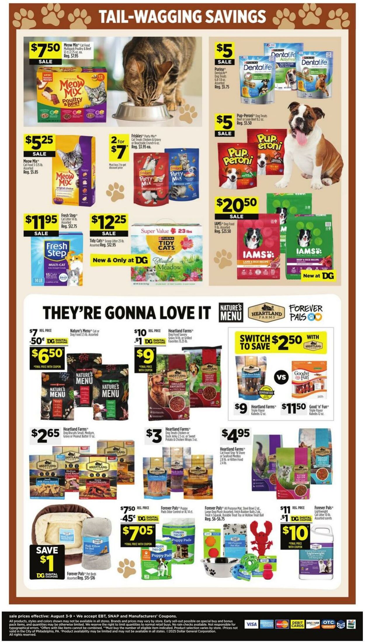Weekly ad Dollar General 08/03/2025 - 08/09/2025