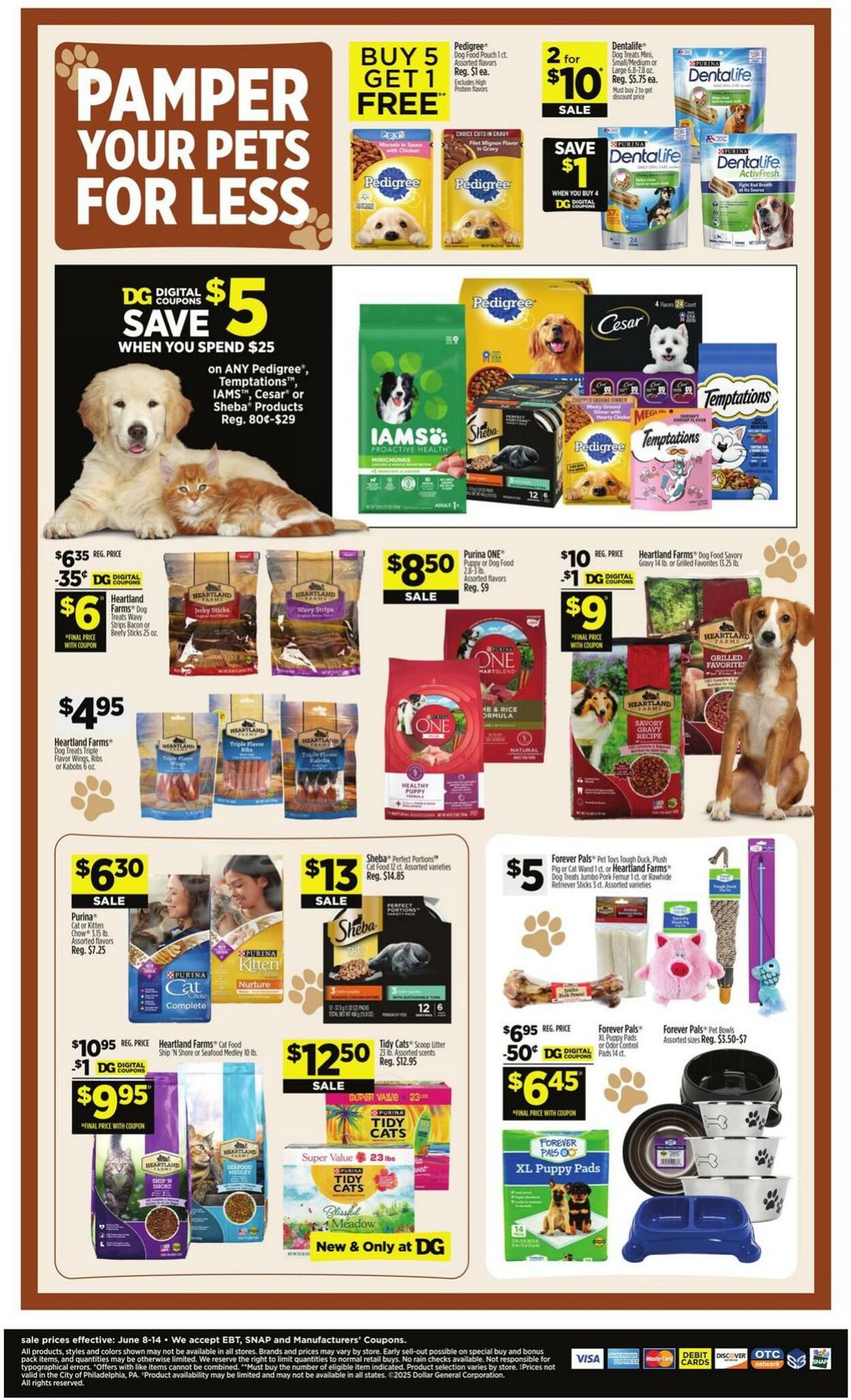 Weekly ad Dollar General 06/08/2025 - 06/14/2025