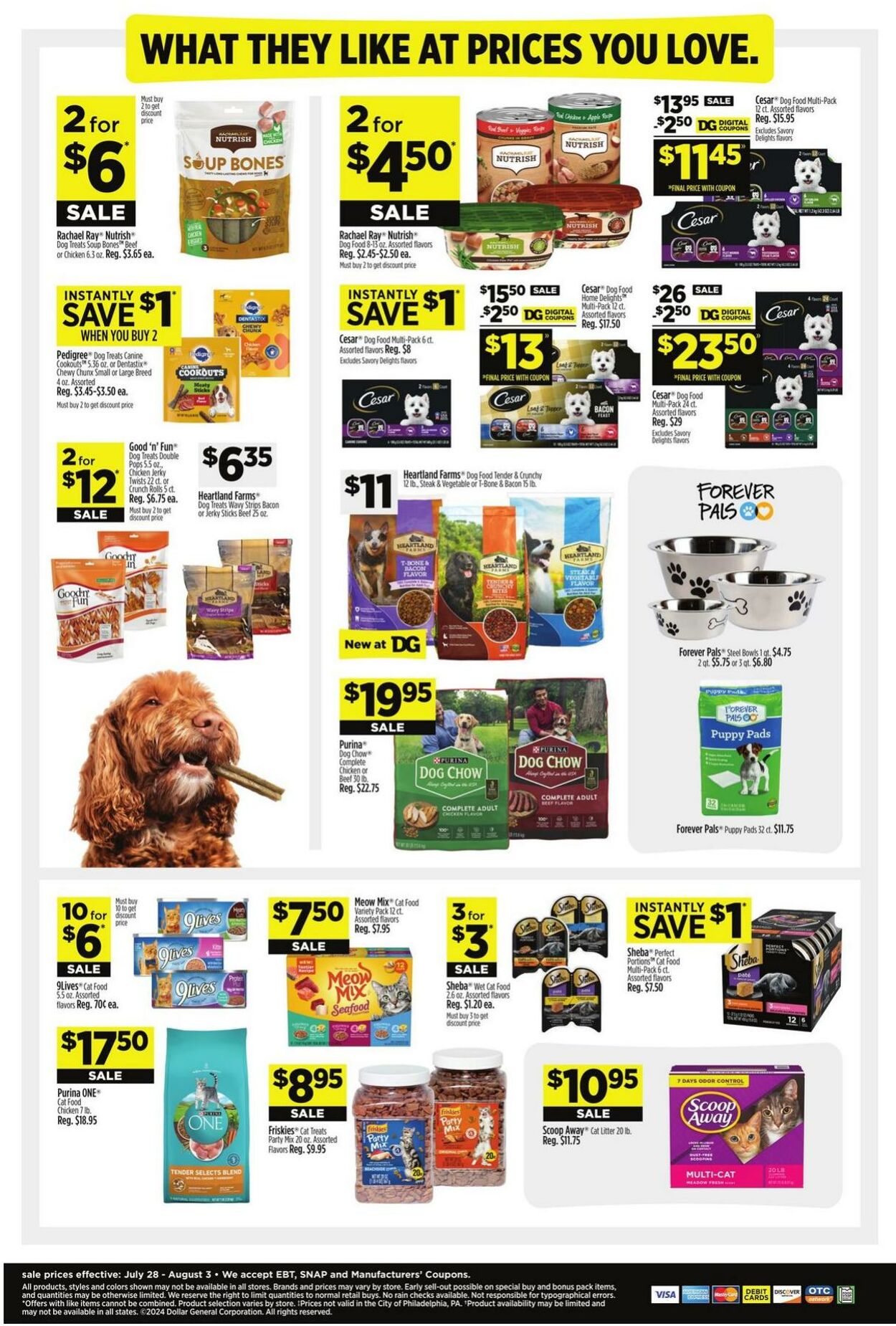 Weekly ad Dollar General 07/28/2024 - 08/03/2024