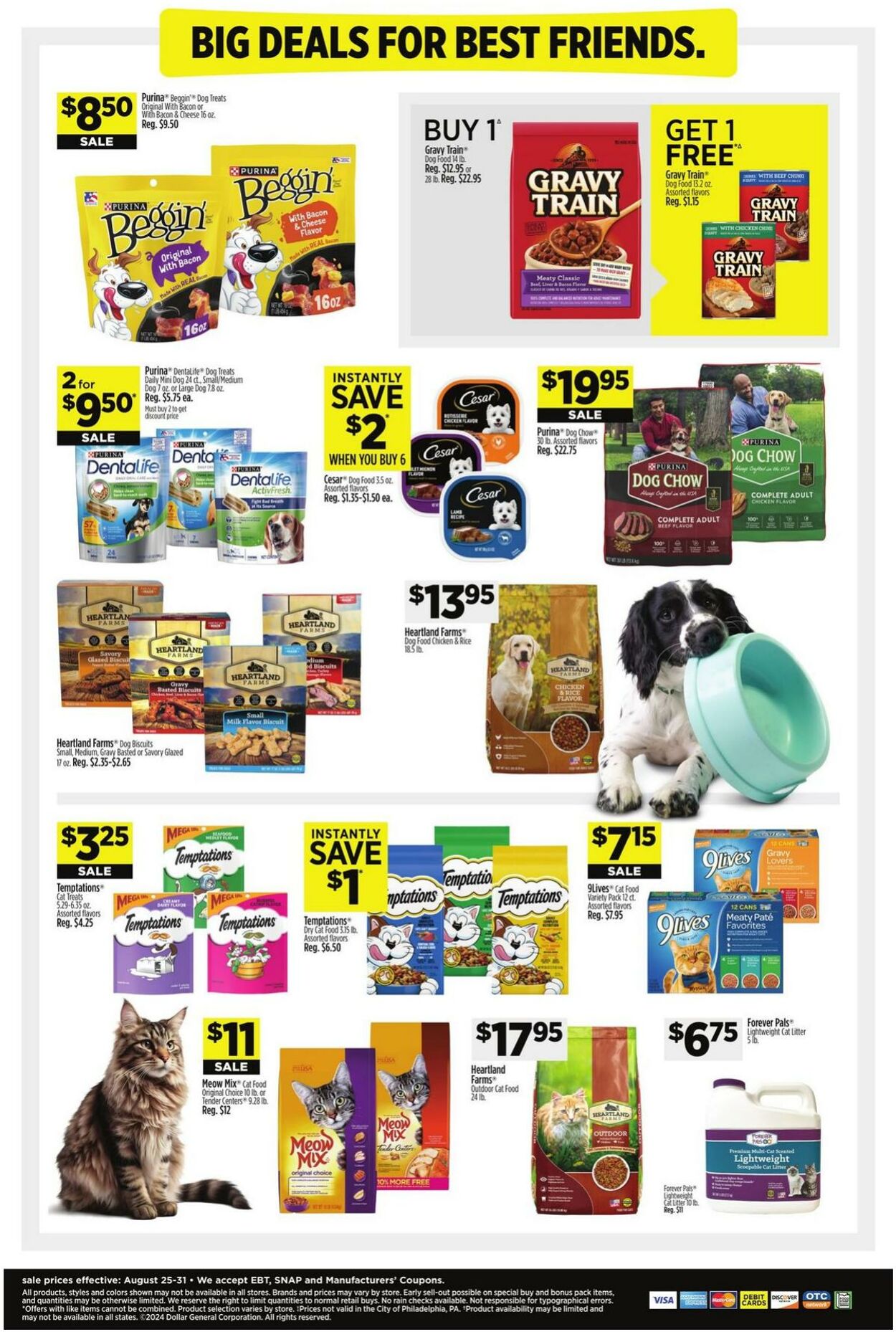 Weekly ad Dollar General 08/25/2024 - 08/31/2024