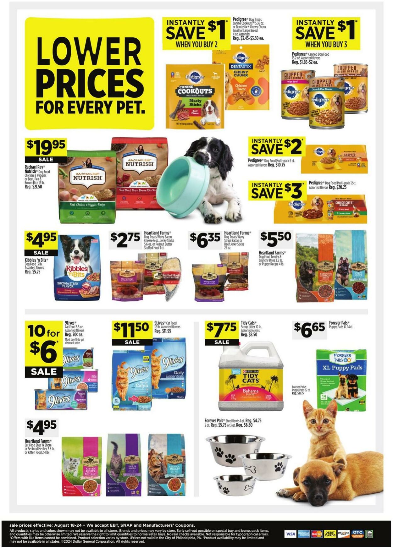 Weekly ad Dollar General 08/18/2024 - 08/24/2024