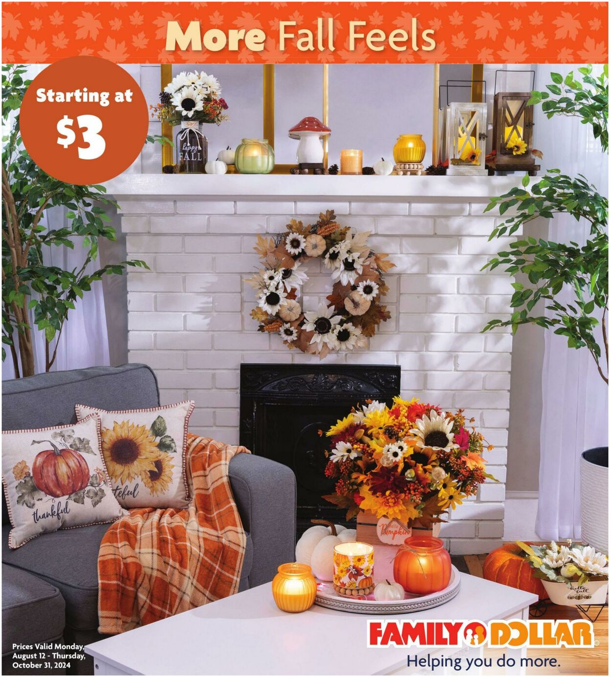 Weekly ad Family Dollar 08/12/2024 - 10/31/2024