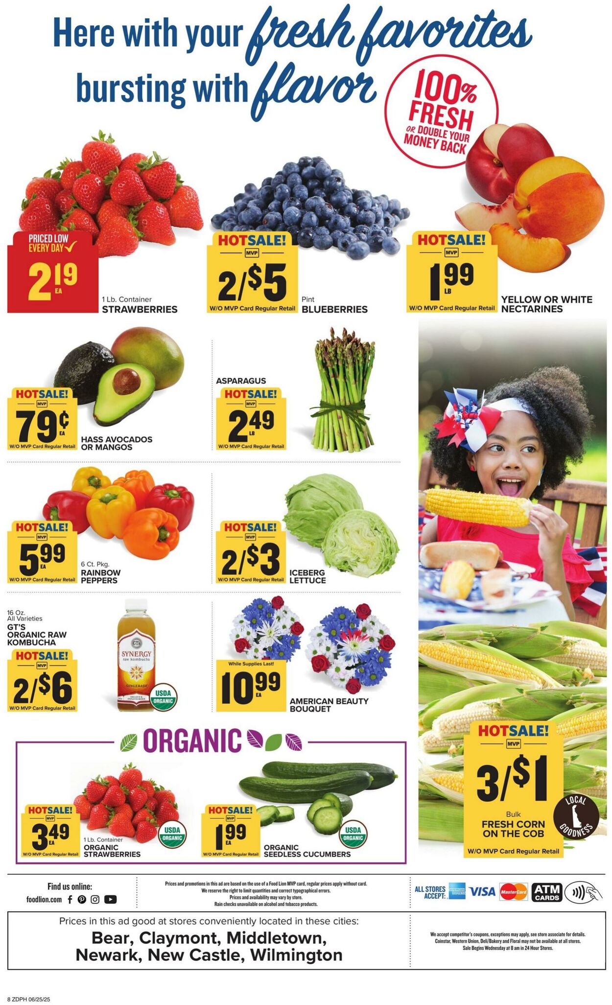 Weekly ad Food Lion 06/25/2025 - 07/01/2025