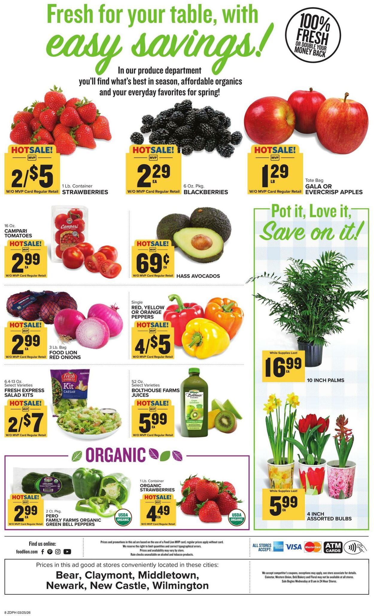 Weekly ad Food Lion 03/25/2026 - 03/31/2026