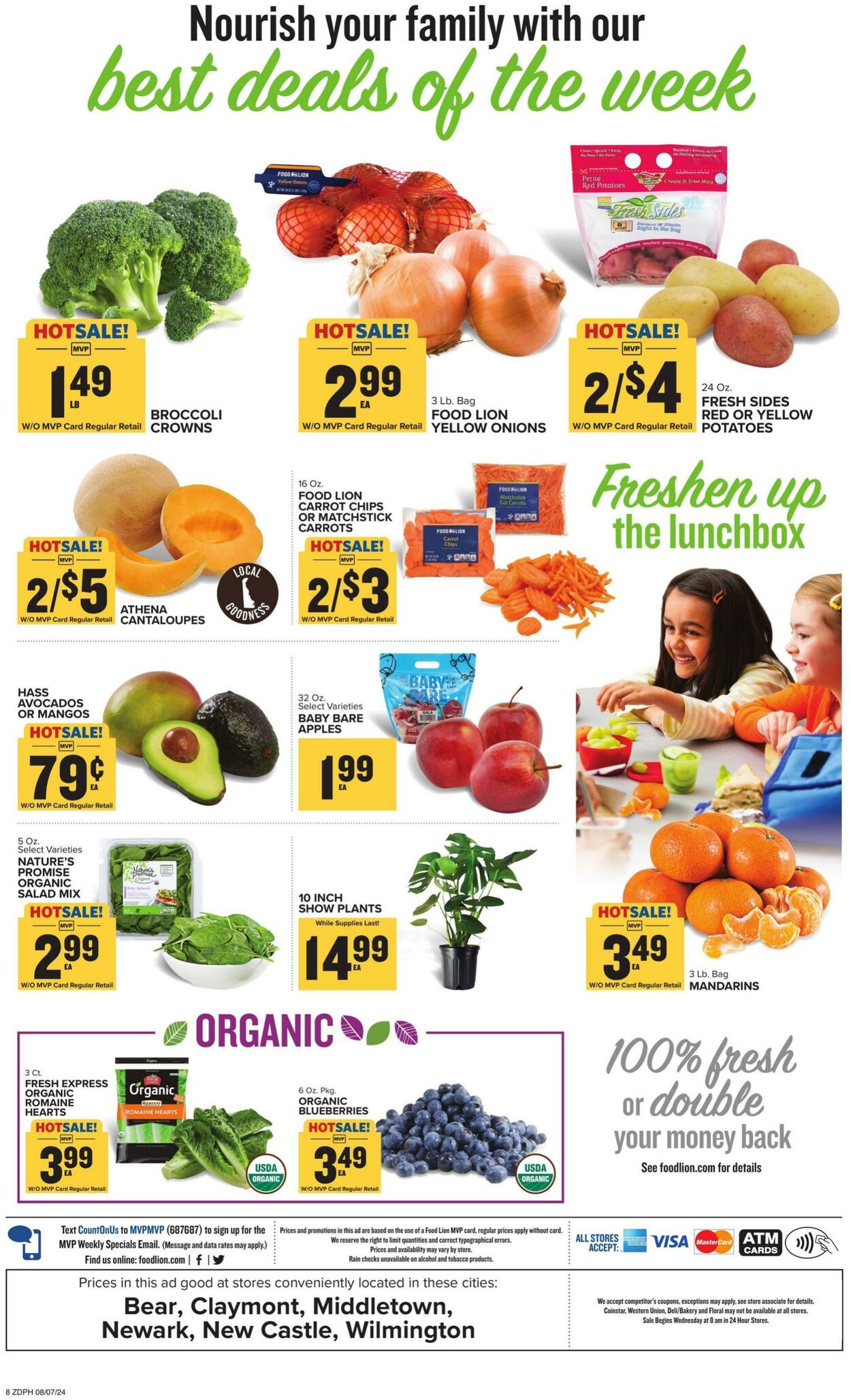 Weekly ad Food Lion 08/07/2024 - 08/13/2024