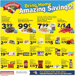 Weekly ad Hannaford 06/11/2023 - 06/17/2023