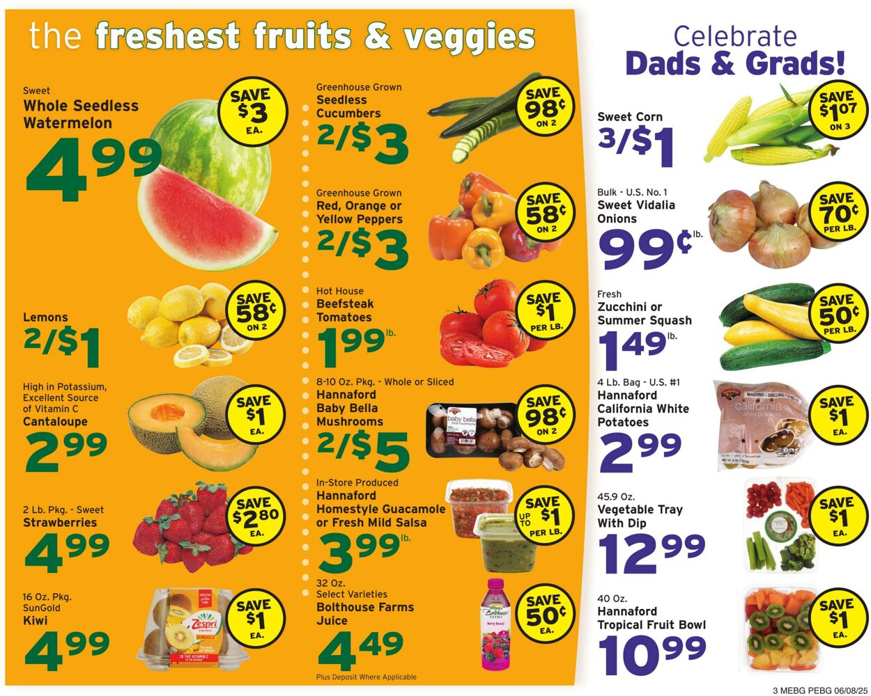 Weekly ad Hannaford 06/08/2025 - 06/14/2025