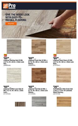 Weekly ad Home Depot 11/21/2022 - 11/28/2022
