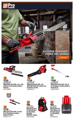 Weekly ad Home Depot 03/17/2025 - 03/24/2025