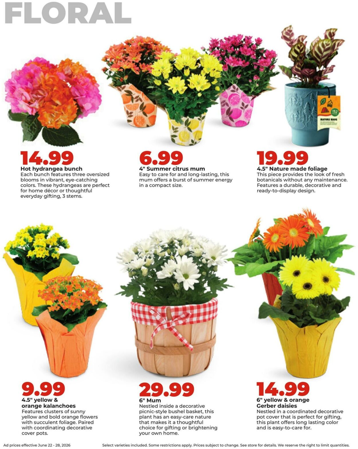 Weekly ad Hy-Vee 06/22/2026 - 06/28/2026