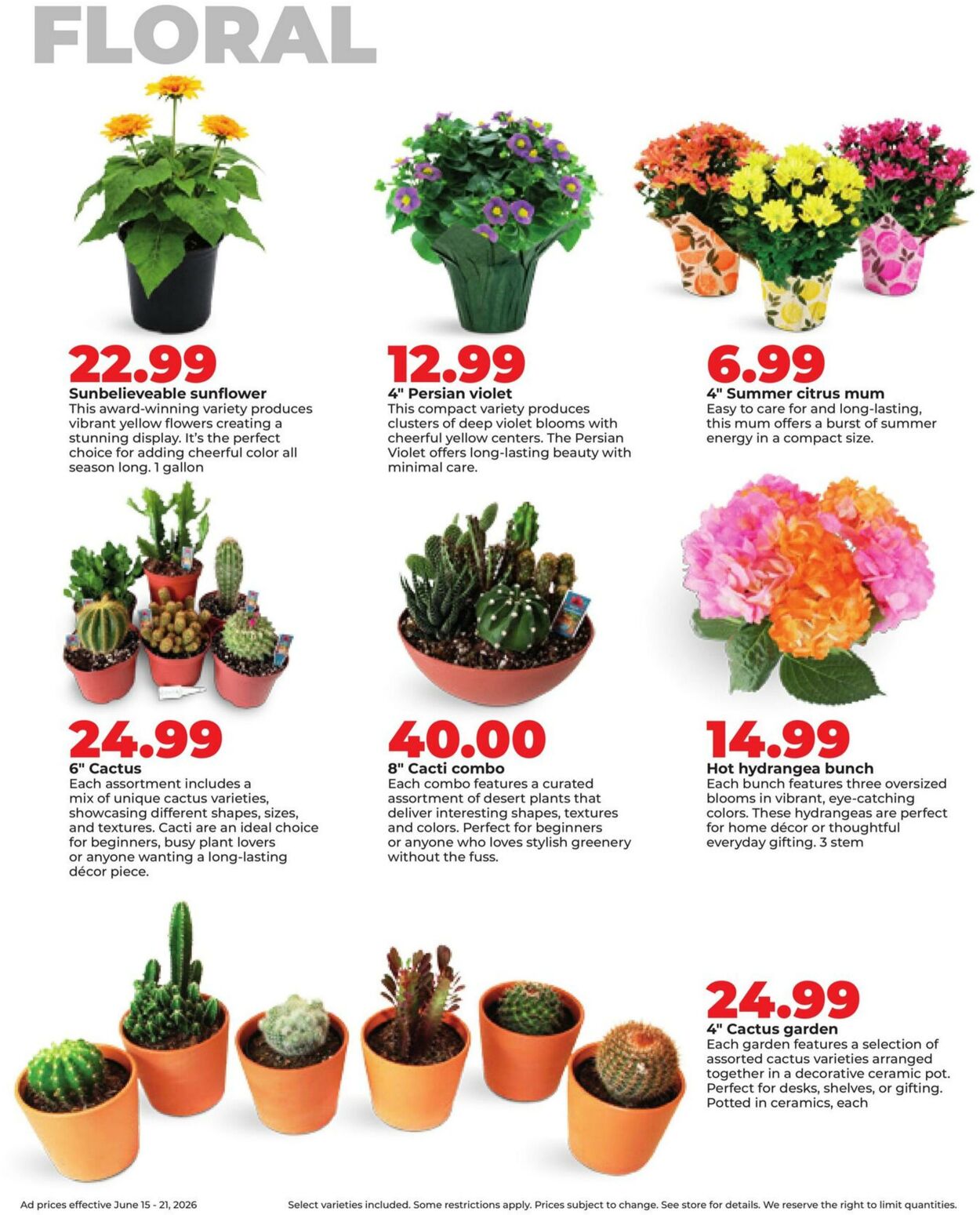 Weekly ad Hy-Vee 06/15/2026 - 06/21/2026
