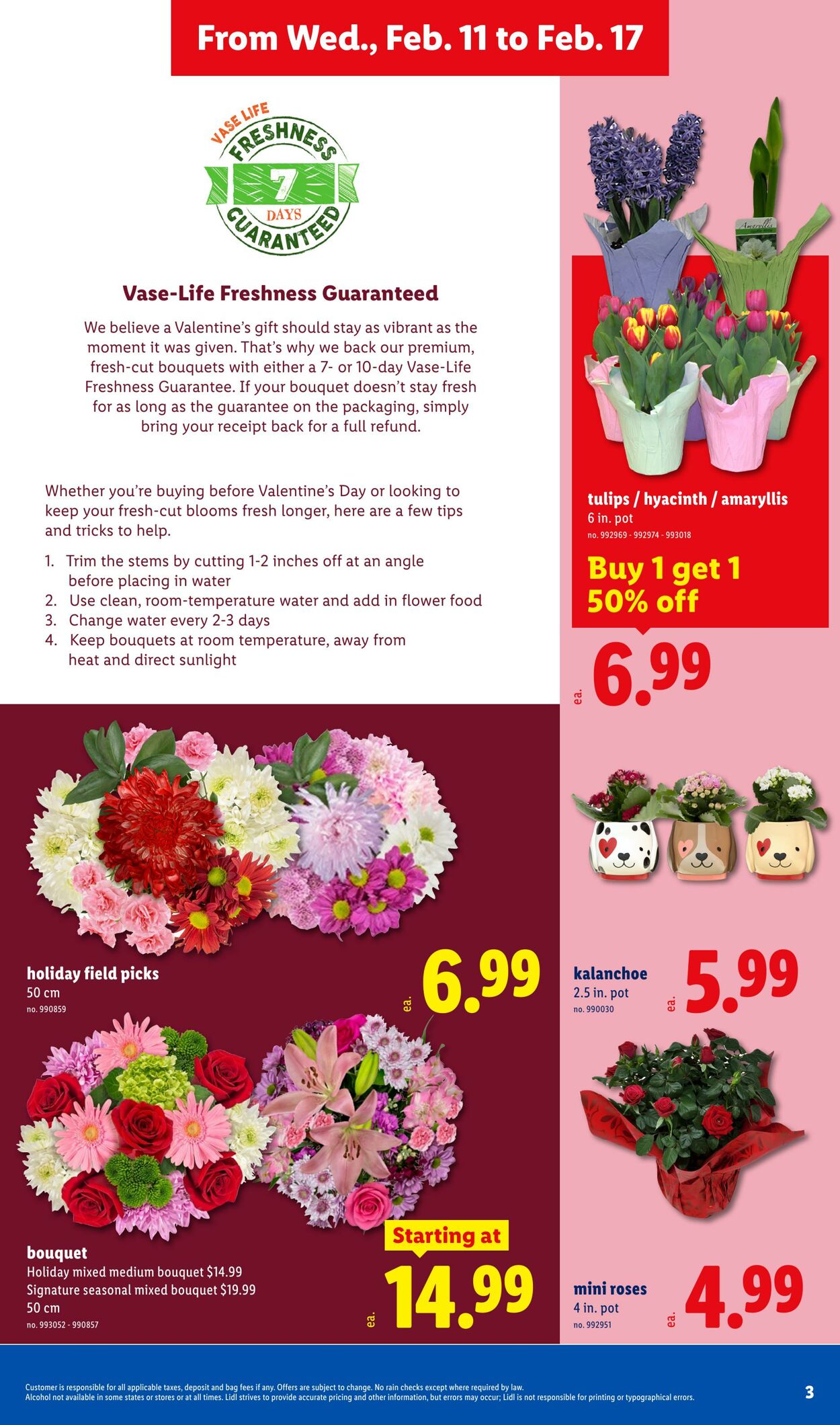 Weekly ad Lidl 02/11/2026 - 02/17/2026