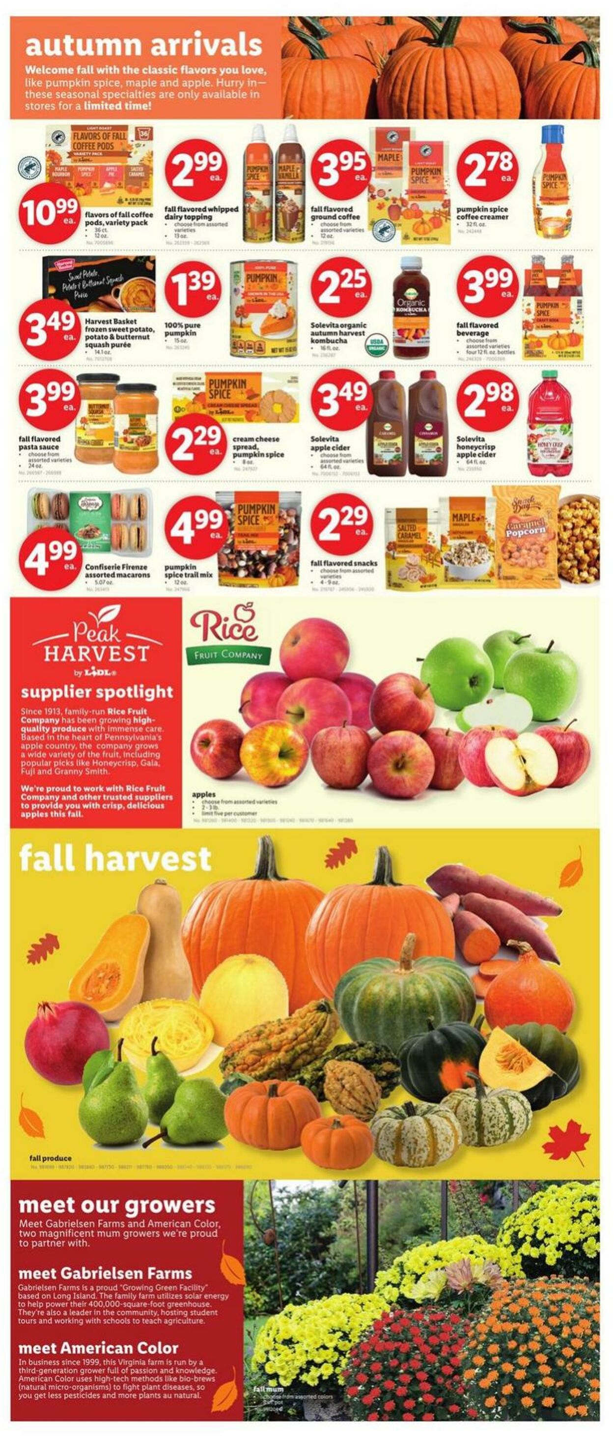 Weekly ad Lidl 09/11/2024 - 09/17/2024