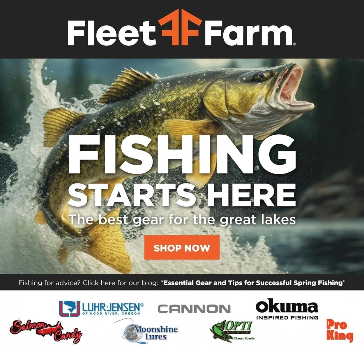 Weekly ad Mills Fleet Farm 06/19/2025 - 06/25/2025