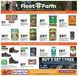 Weekly ad Mills Fleet Farm 11/13/2025 - 11/19/2025