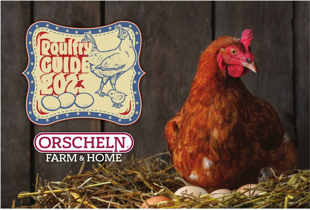 Orscheln Farm & Home Promotional weekly ads