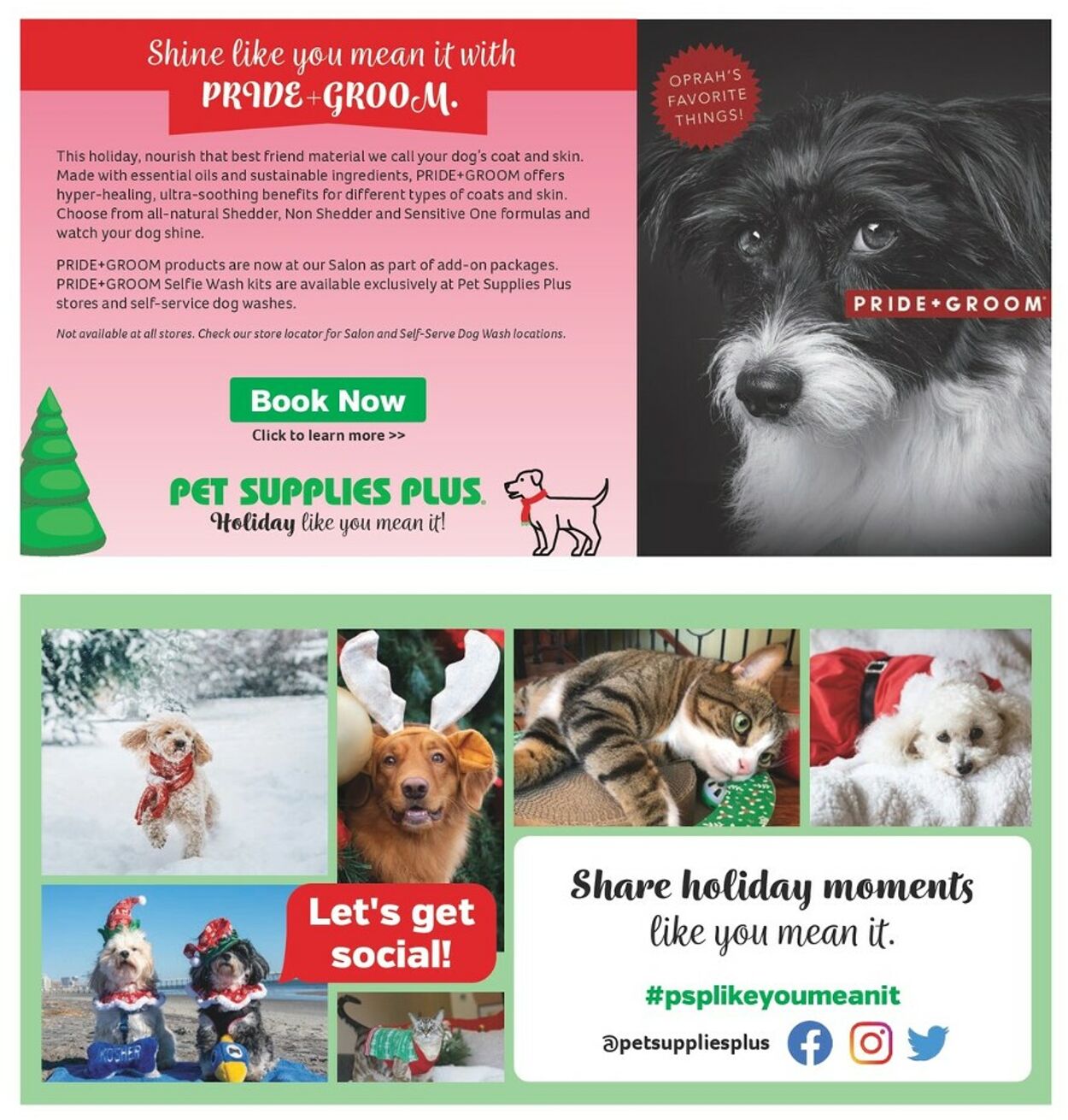 Weekly ad Pet Supplies Plus 12/10/2022 - 12/11/2022