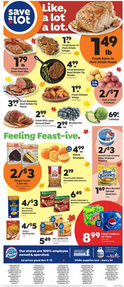 Weekly ad Save a Lot 11/09/2022-11/15/2022