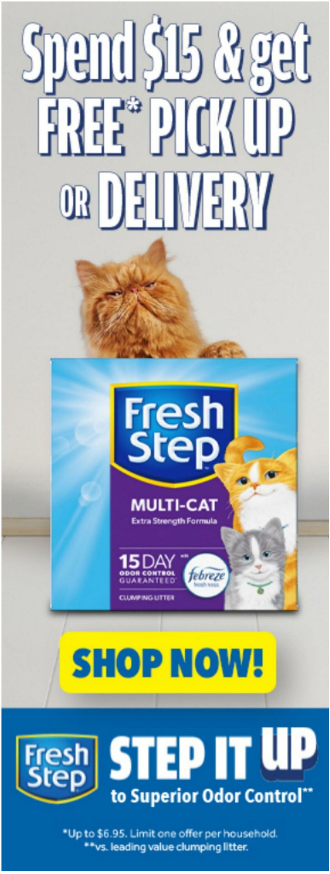 Weekly ad Stop & Shop 06/13/2025 - 06/19/2025